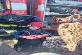 19. března 2025 - 2.B Čím budu?_17