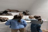 galerie_1