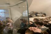 4. dubna 2025 - 1. třídy Muzeum_19