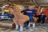 26. května 2025 -  1.A šk. výlet do ZOO_15