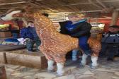 26. května 2025 -  1.A šk. výlet do ZOO_16