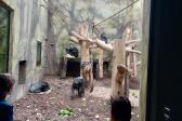 26. května 2025 -  1.A šk. výlet do ZOO_22