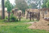 26. května 2025 -  1.A šk. výlet do ZOO_23