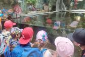26. května 2025 -  1.A šk. výlet do ZOO_35