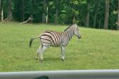 26. května 2025 -  1.A šk. výlet do ZOO_60