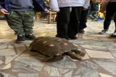 26. května 2025 - 1.B šk. výlet do ZOO_32