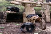 26. května 2025 - 1.B šk. výlet do ZOO_48