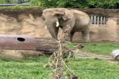 26. května 2025 - 1.B šk. výlet do ZOO_49