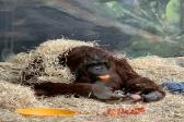 26. května 2025 - 1.B šk. výlet do ZOO_55