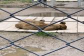 26. května 2025 - 1.B šk. výlet do ZOO_63