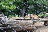 26. května 2025 - 1.B šk. výlet do ZOO_64