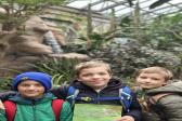 26. května 2025 - ŠK ZOO Dvůr Králové_2
