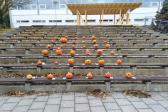 4. listopadu 2021 - Halloween ... akce ŽP_8