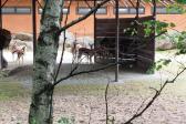 7.června 2022 Výlet do ZOO_8