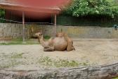 7.června 2022 Výlet do ZOO_12
