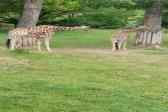 7.června 2022 Výlet do ZOO_13