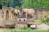 7. června 2023 - 1.A ZOO Dvůr Králové nad Labem_8