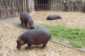 7. června 2023 - 1.A ZOO Dvůr Králové nad Labem_28