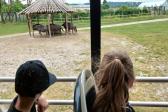 7. června 2023 - 1.A ZOO Dvůr Králové nad Labem_36