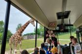 7. června 2023 - 1.A ZOO Dvůr Králové nad Labem_42