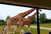 7. června 2023 - 1.A ZOO Dvůr Králové nad Labem_46