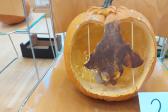 31. října 2023 - Halloween - akce ŽP_4