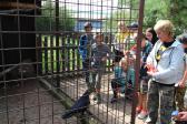 9.-14. září 2019 ... adaptační kurz 6. tříd_38