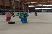 7. února 2024 - 5. třídy bruslení_4