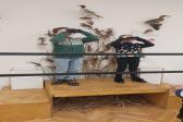 26. dubna 2024 - 2.A Muzeum Svitavy_1
